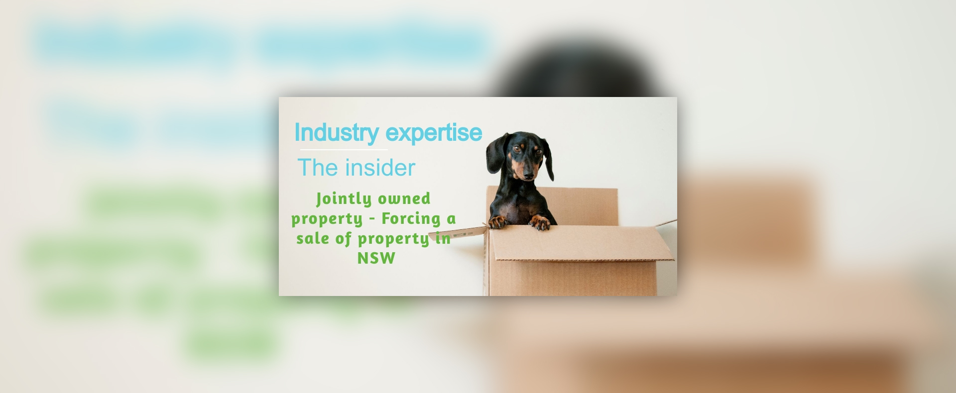 Jointly owned property disputes article